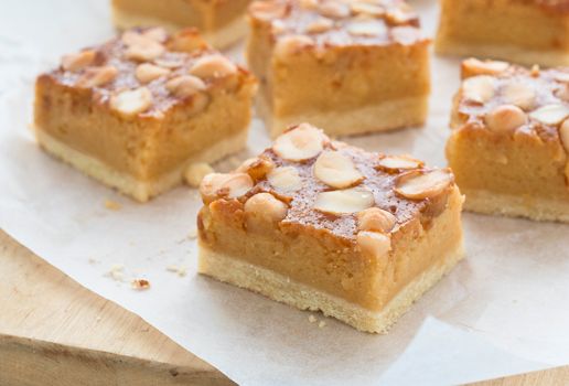 Macadamia Tree Slice